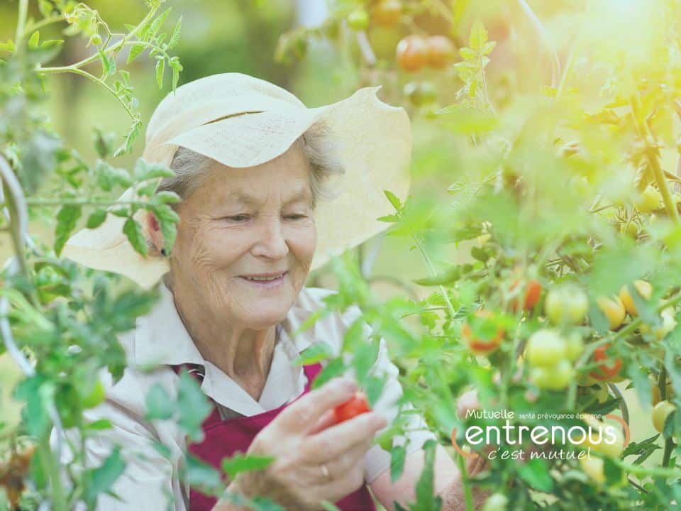Femme retraitée en bonne santé qui admire ses tomates au soleil dans son jardin